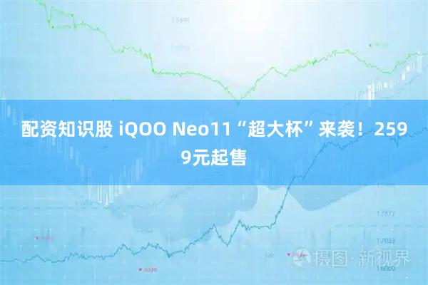 配资知识股 iQOO Neo11“超大杯”来袭！2599元起售
