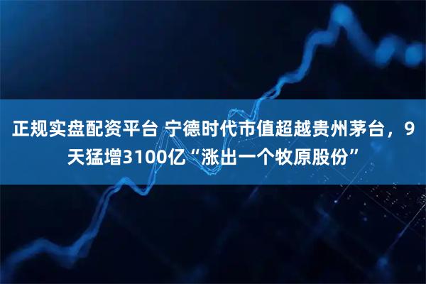 正规实盘配资平台 宁德时代市值超越贵州茅台，9天猛增3100亿“涨出一个牧原股份”