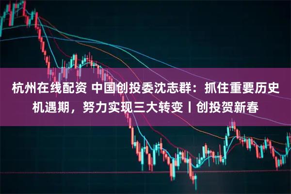 杭州在线配资 中国创投委沈志群：抓住重要历史机遇期，努力实现三大转变丨创投贺新春