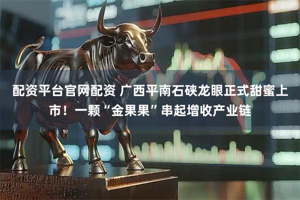 配资平台官网配资 广西平南石硖龙眼正式甜蜜上市！一颗“金果果”串起增收产业链